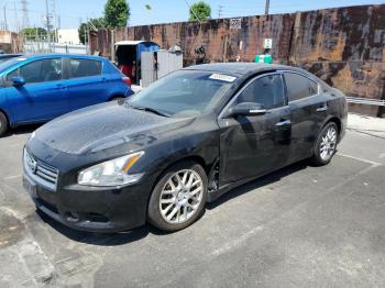  Salvage Nissan Maxima