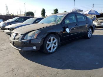  Salvage Nissan Maxima