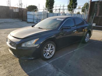  Salvage Nissan Maxima