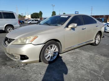  Salvage Lexus Es