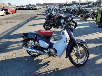  Salvage Honda Cub