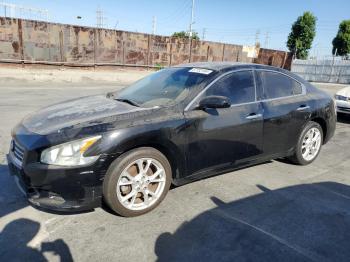  Salvage Nissan Maxima