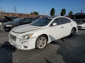  Salvage Nissan Maxima