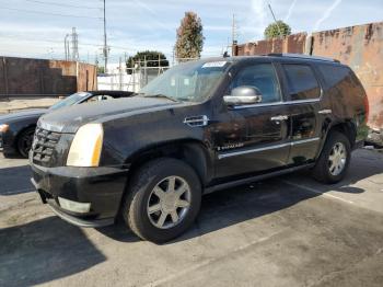  Salvage Cadillac Escalade