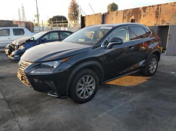  Salvage Lexus NX