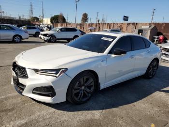  Salvage Acura TLX