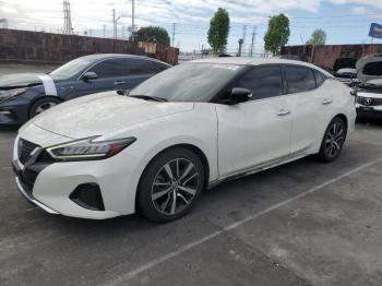  Salvage Nissan Maxima