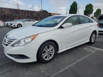  Salvage Hyundai SONATA