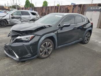  Salvage Lexus Ux