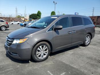  Salvage Honda Odyssey