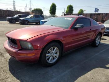  Salvage Ford Mustang