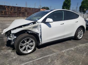  Salvage Tesla Model Y