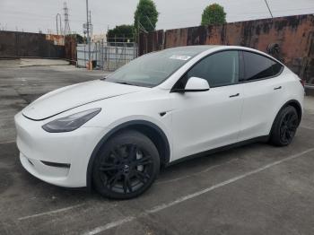  Salvage Tesla Model Y