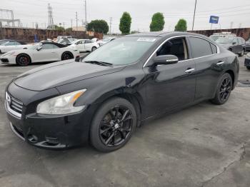  Salvage Nissan Maxima