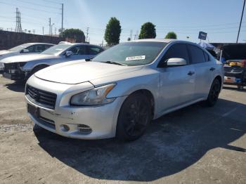  Salvage Nissan Maxima