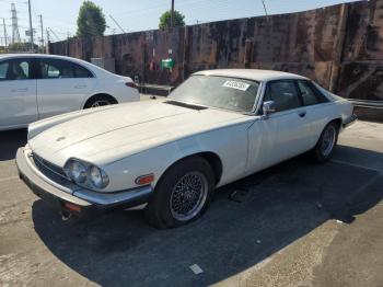  Salvage Jaguar Xjs