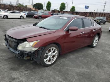  Salvage Nissan Maxima