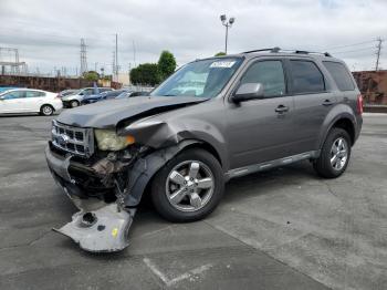  Salvage Ford Escape