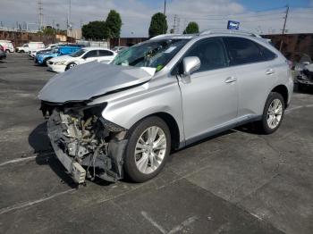  Salvage Lexus RX