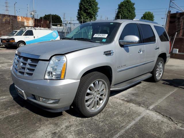  Salvage Cadillac Escalade