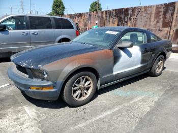  Salvage Ford Mustang