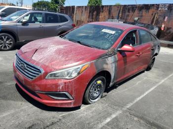  Salvage Hyundai SONATA