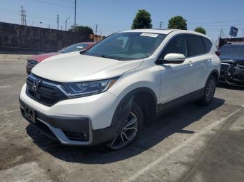  Salvage Honda Crv