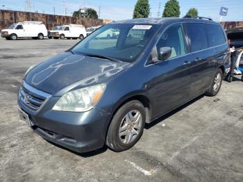  Salvage Hond Odyssey Ex