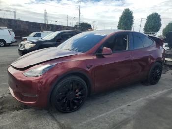  Salvage Tesla Model Y