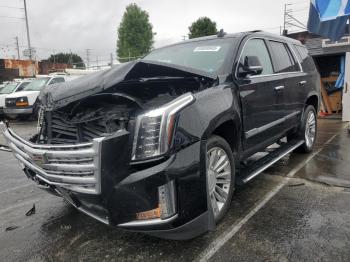  Salvage Cadillac Escalade
