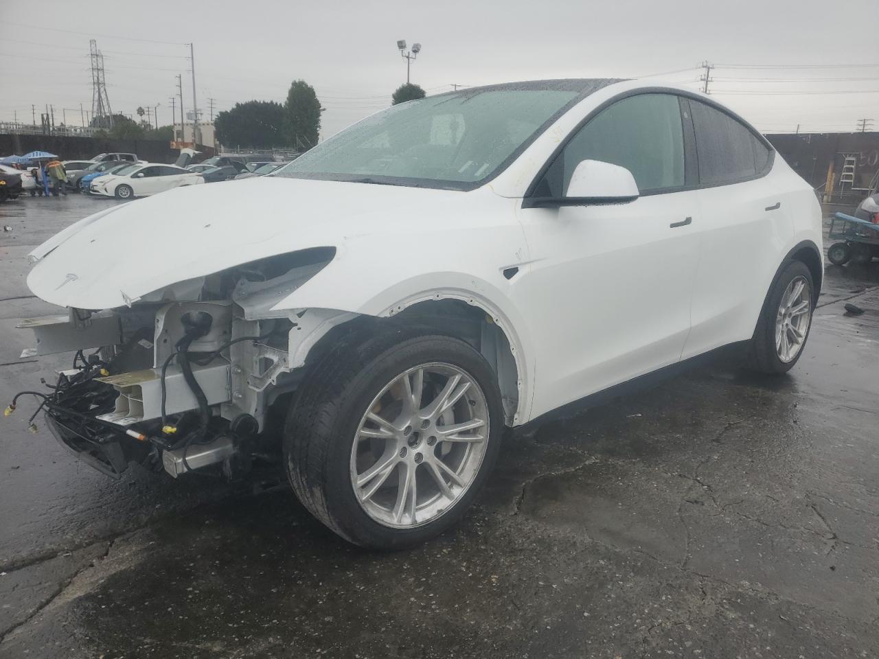 Tesla Model Y Image 1
