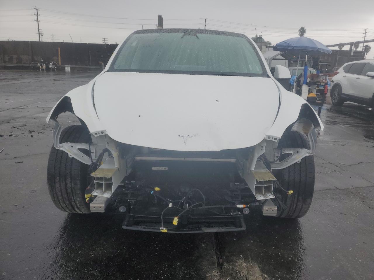 Tesla Model Y Image 4