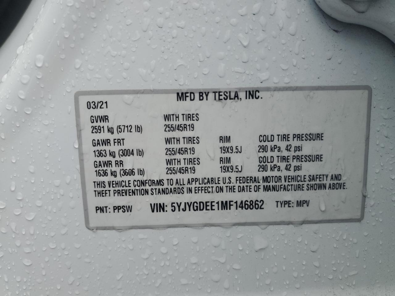 Tesla Model Y Image 8