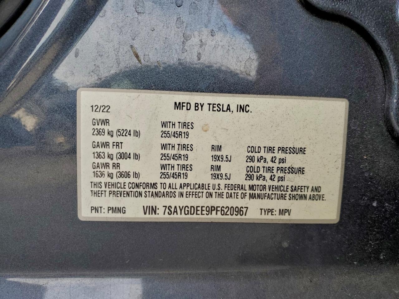 Tesla Model Y Image 13