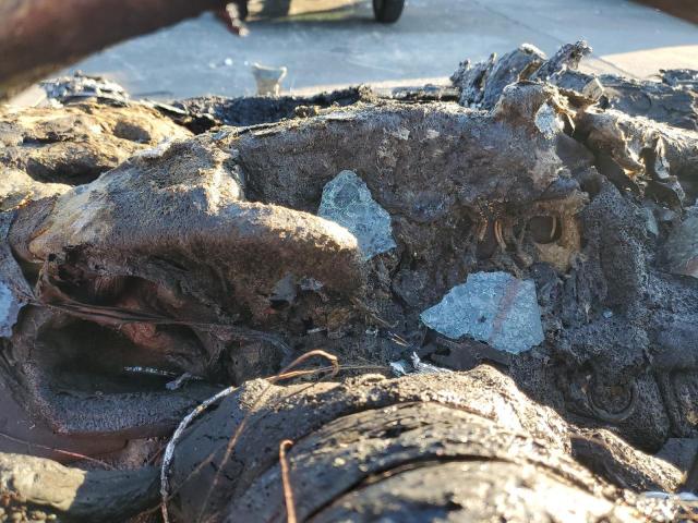 BMW X Series Xdrive35d Image 7