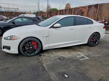  Salvage Jaguar XF