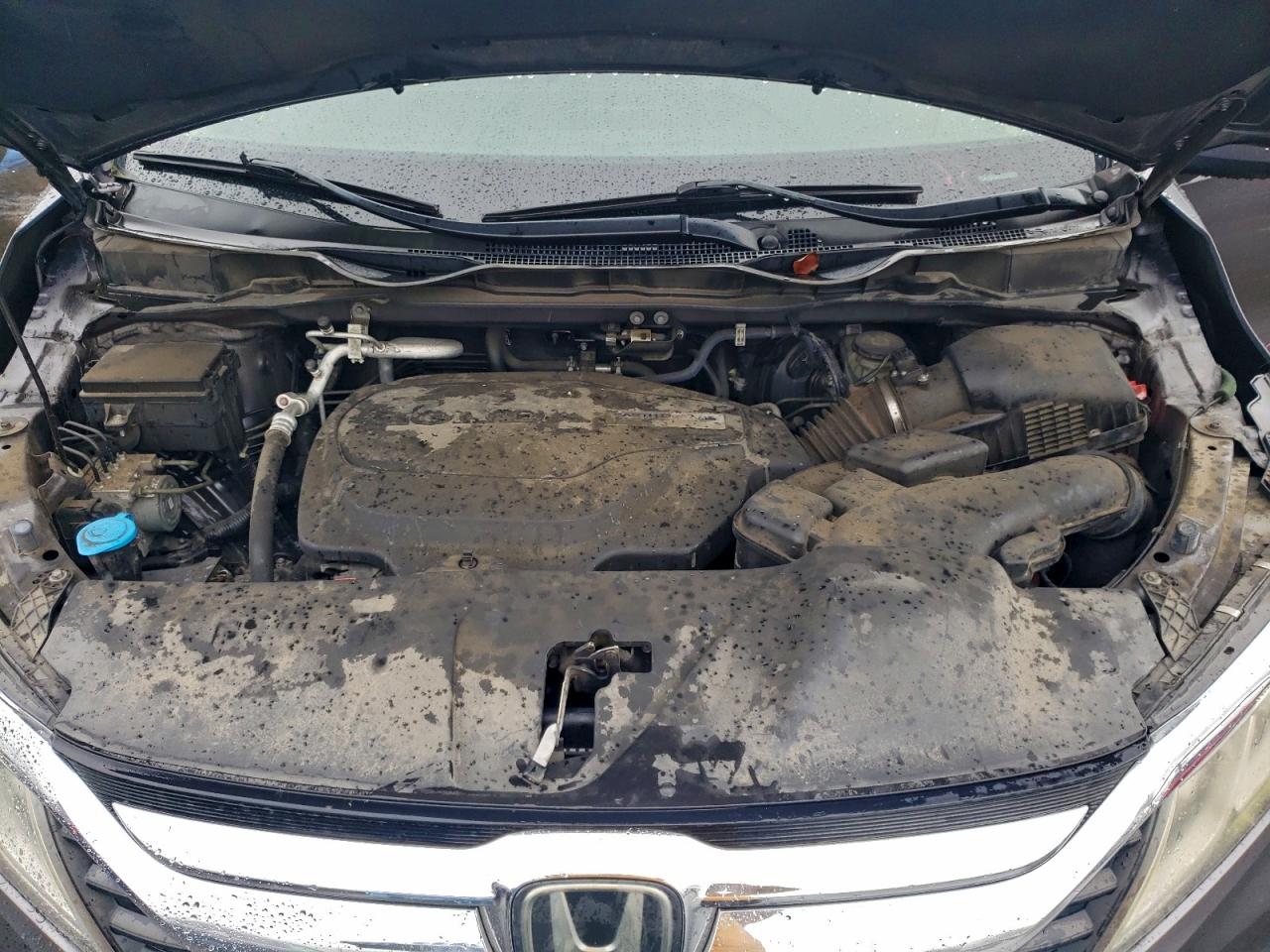 Honda Odyssey Exl Image 11