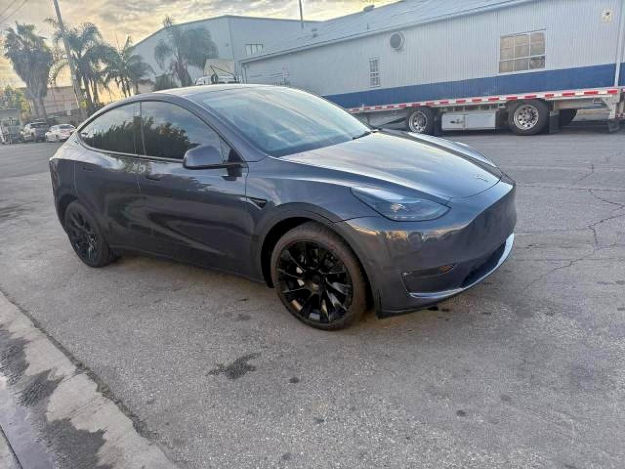 Tesla Model Y Image 1