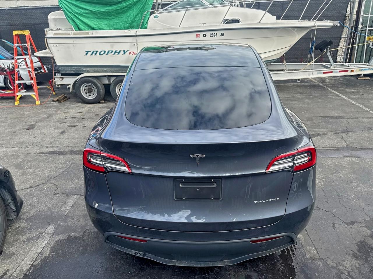 Tesla Model Y Image 6