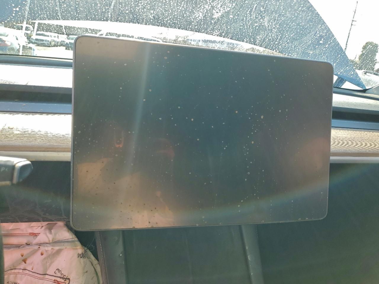 Tesla Model Y Image 11