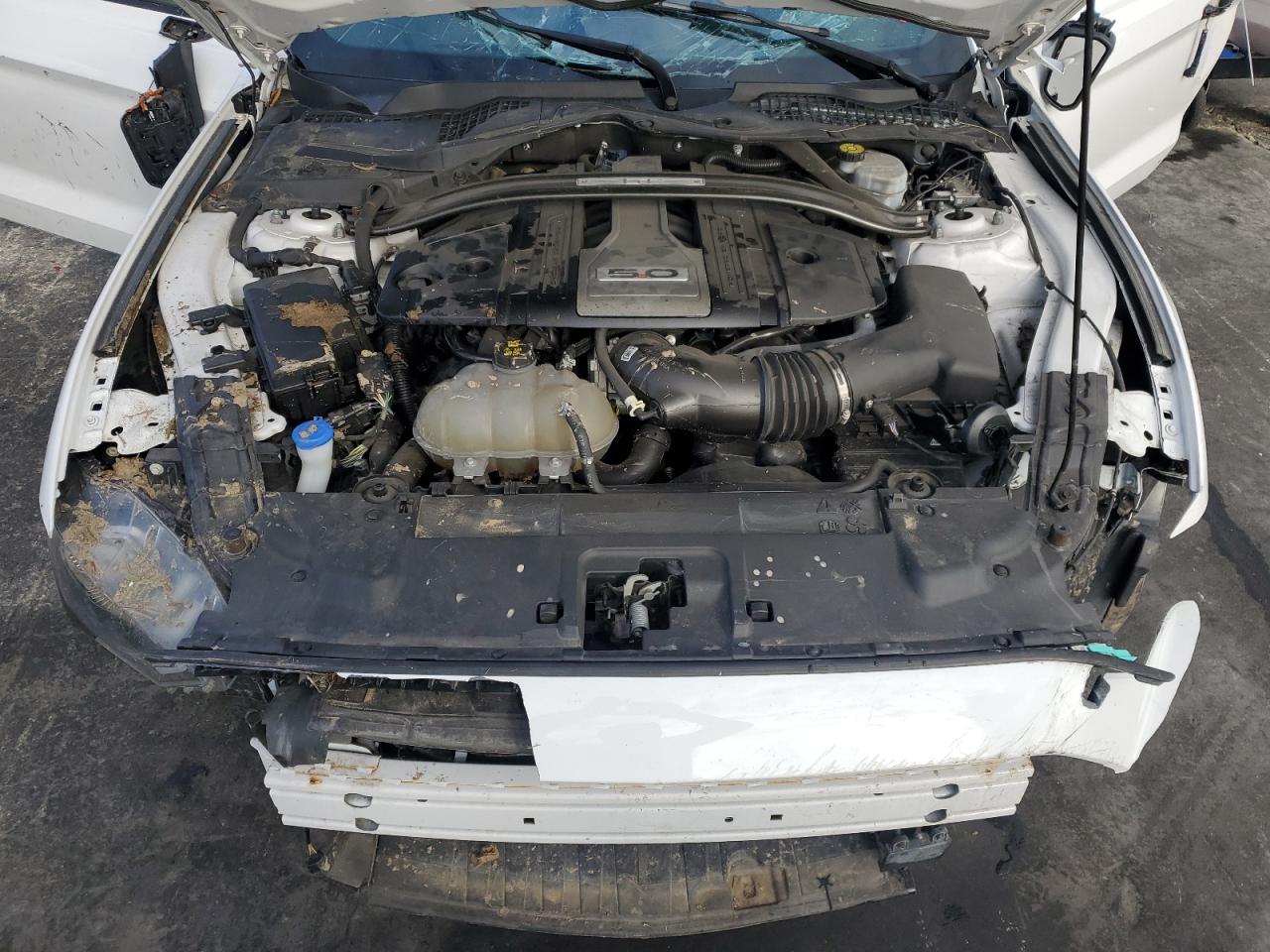 Ford Mustang Gt Image 5