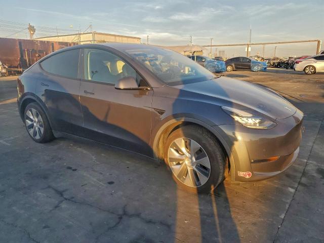 Tesla Model Y Image 3