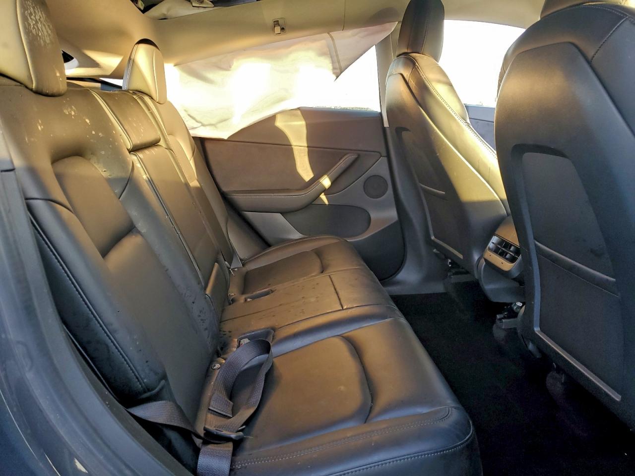 Tesla Model Y Image 12