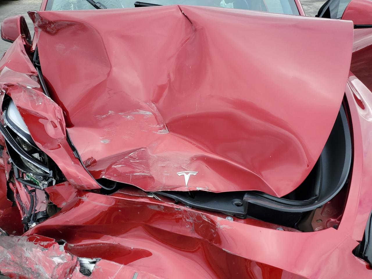 Tesla Model Y Image 8