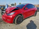 Tesla Model Y Image 1