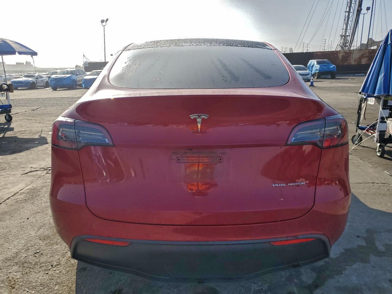 Tesla Model Y Image 7