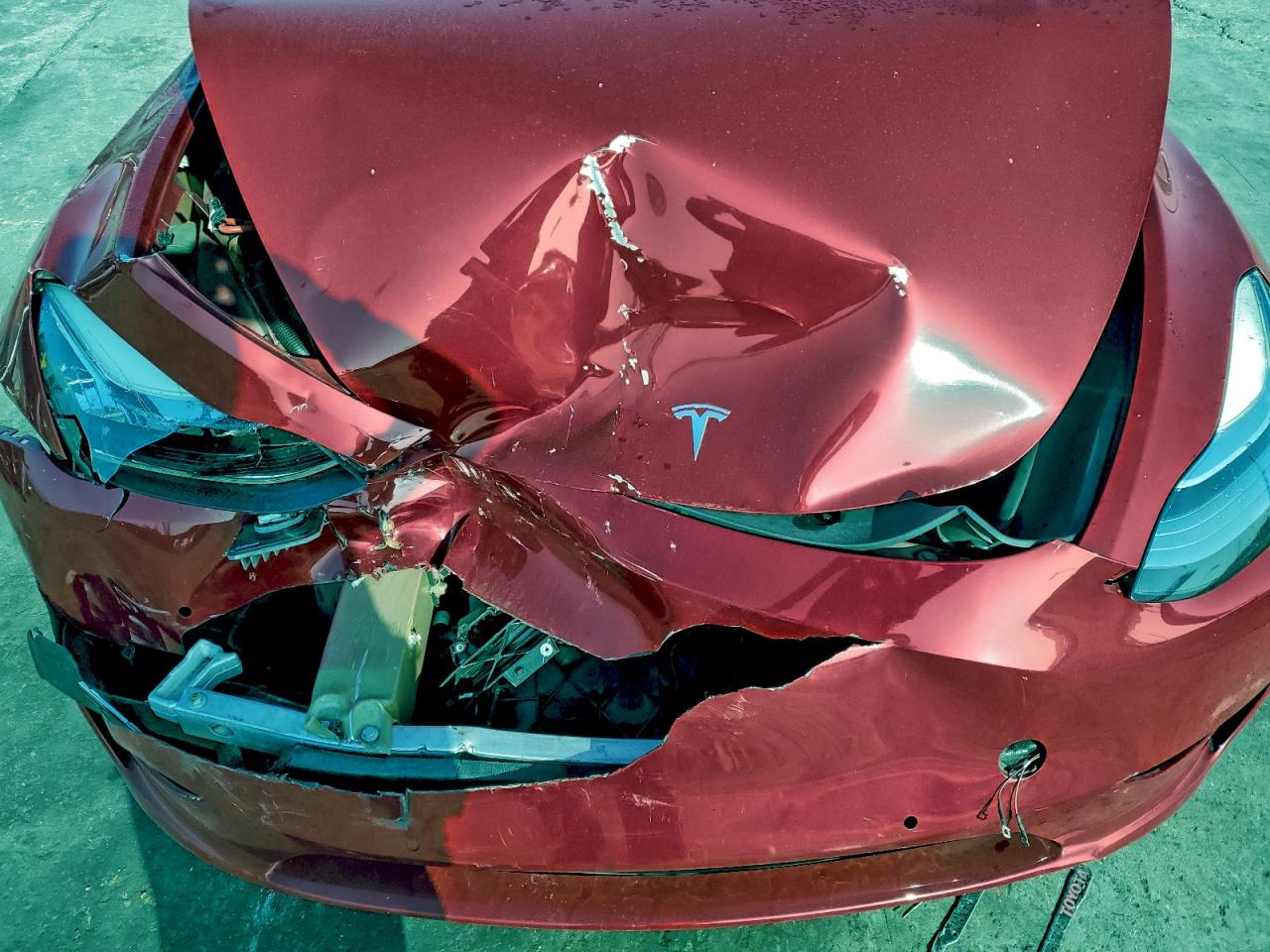 Tesla Model Y Image 11