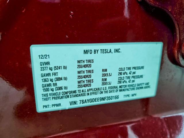 Tesla Model Y Image 8