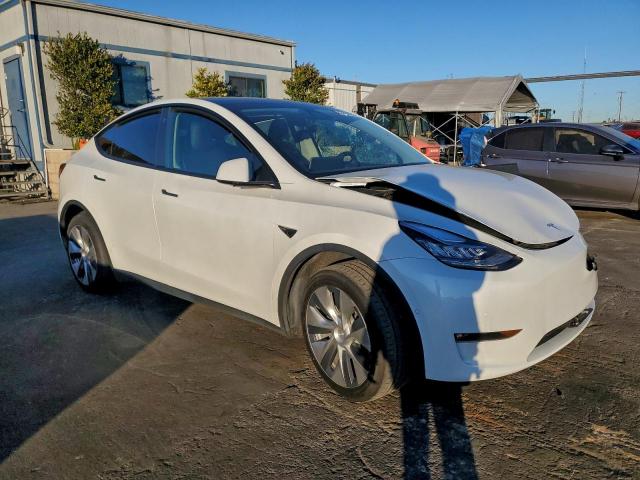 Tesla Model Y Image 2
