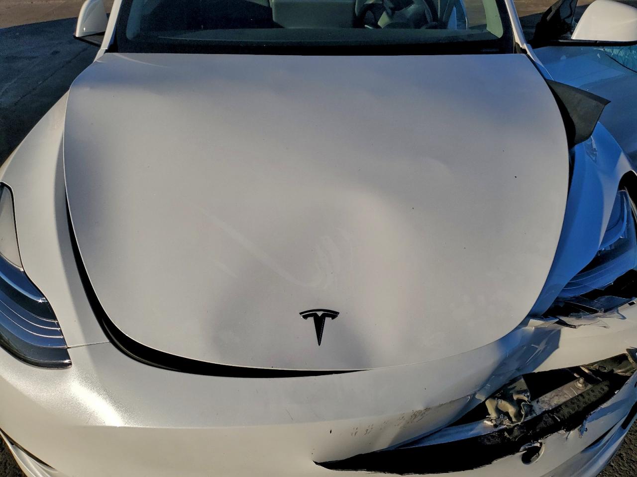 Tesla Model Y Image 8